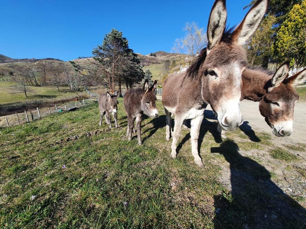 Cuccaro Club - Val Di Vara E Cinque Terre Rocchetta di Vara Dış mekan fotoğraf