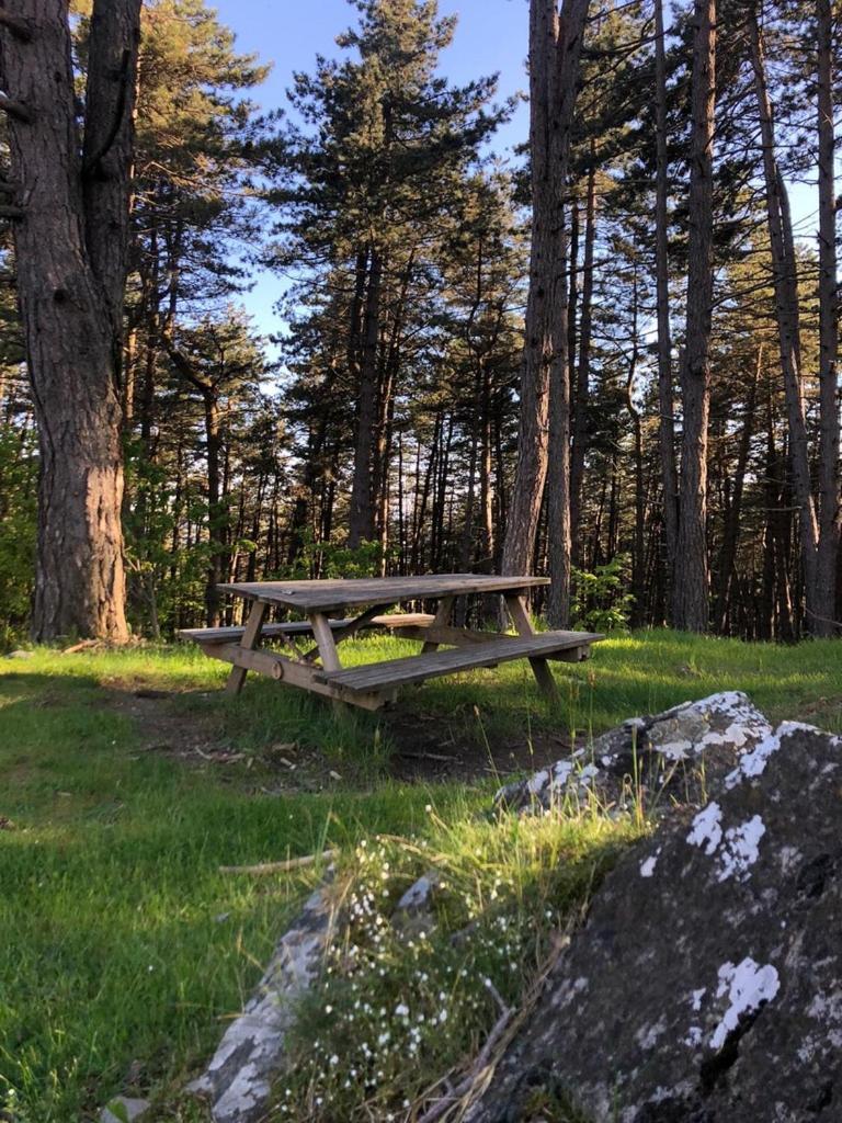 Cuccaro Club - Val Di Vara E Cinque Terre Rocchetta di Vara Dış mekan fotoğraf